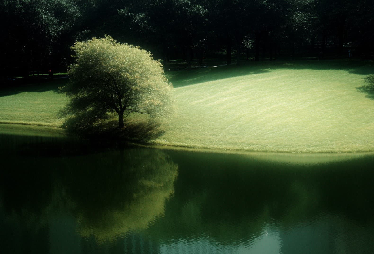 Document Verification That Actually Works