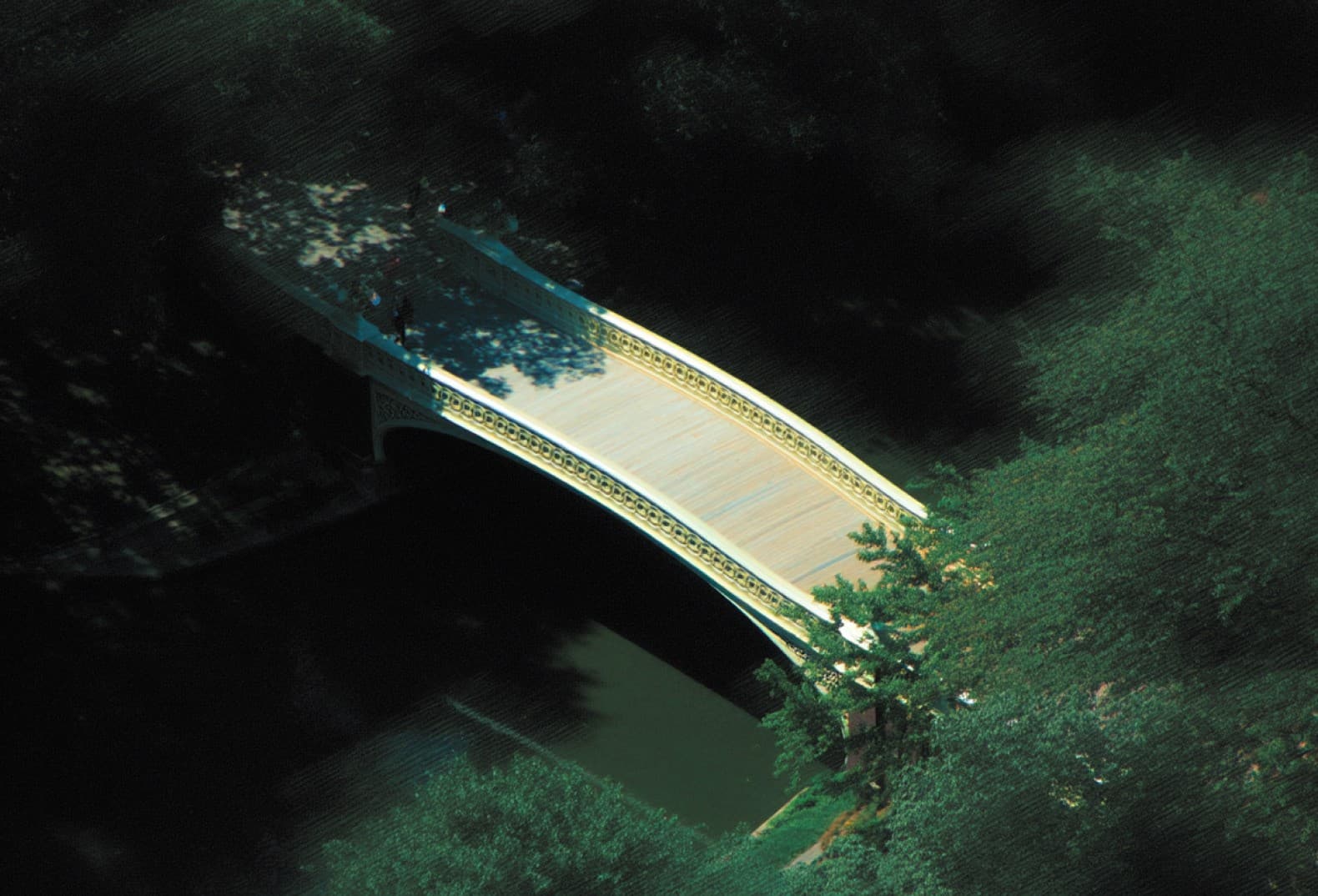 Save Hours Every Week